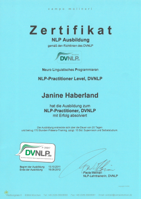 NLP-Practitioner Level, DVNLP